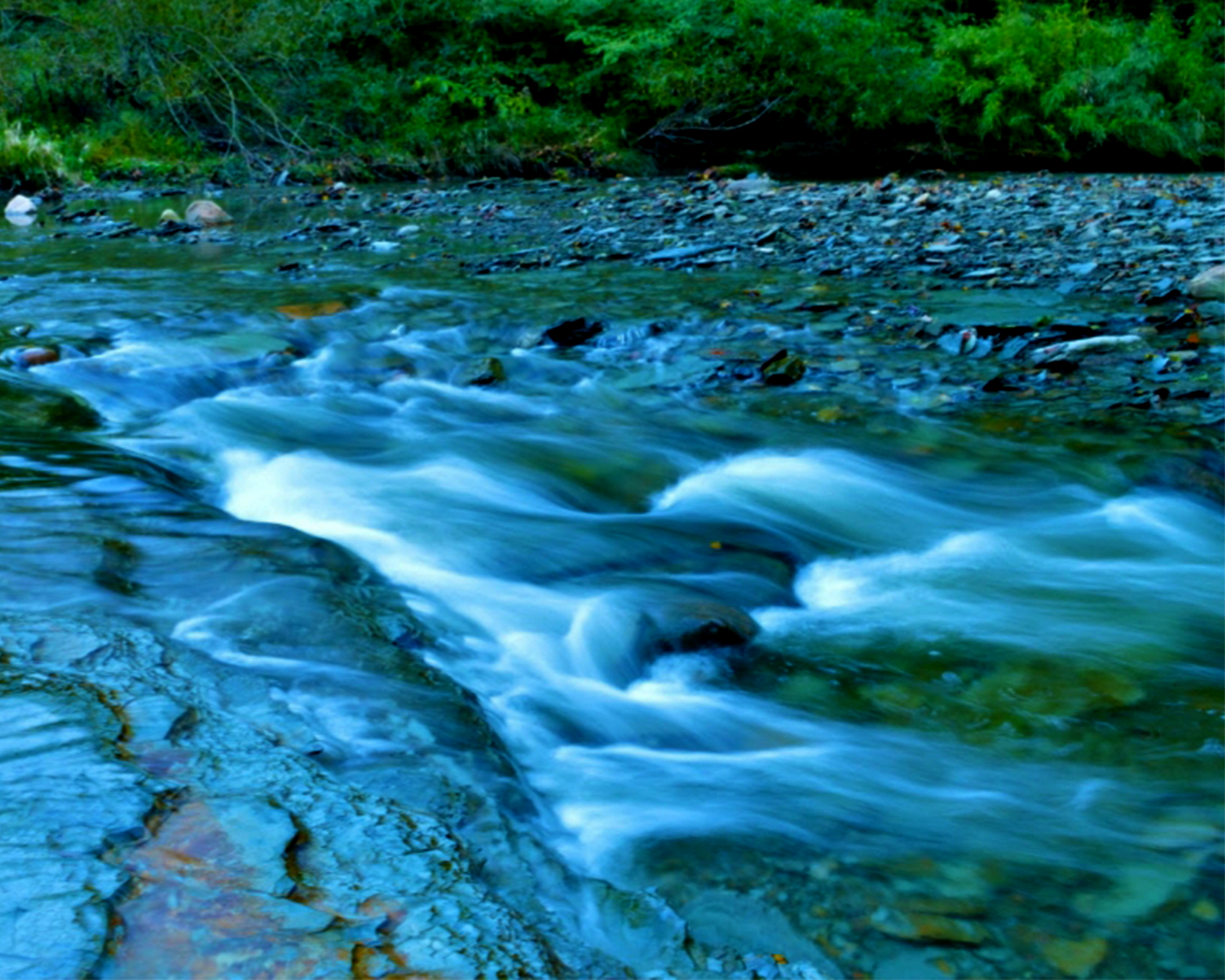 Asbury Woods Running Water